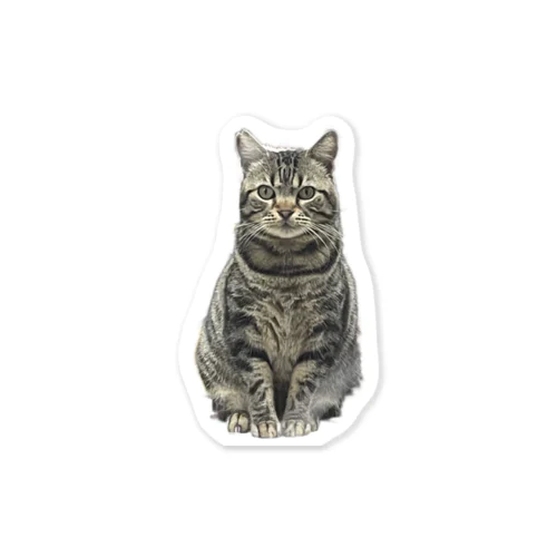 ごんさん Sticker