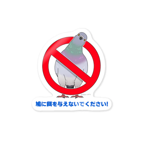 期待のまなこ土鳩 Sticker