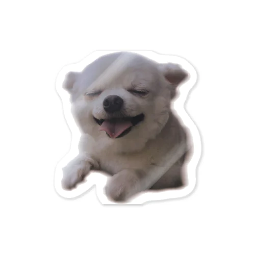 丸めの犬 Sticker