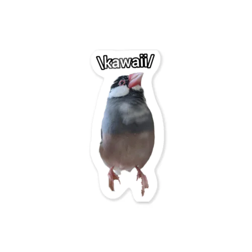 XL文鳥　kawaii Sticker