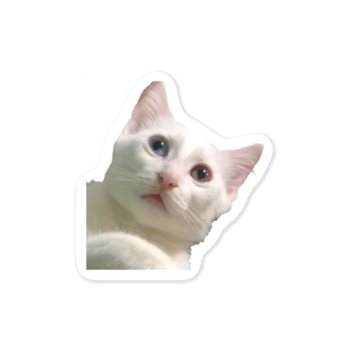 素数を数える猫ステッカー Sticker