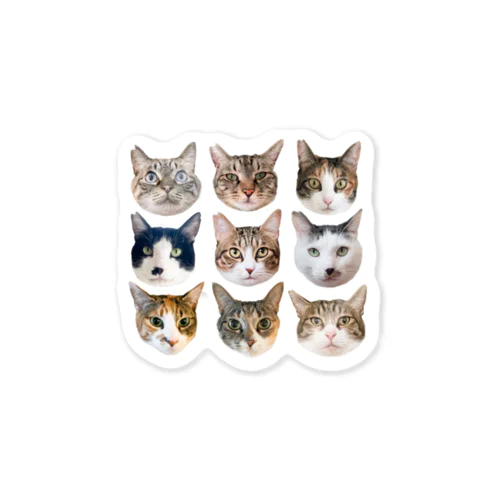 "nyaine cat" Sticker