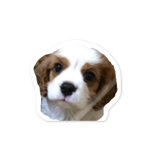 Dog Sticker