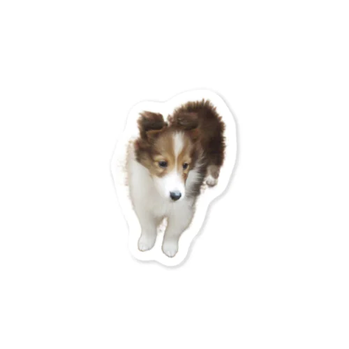 犬の赤ちゃん Sticker