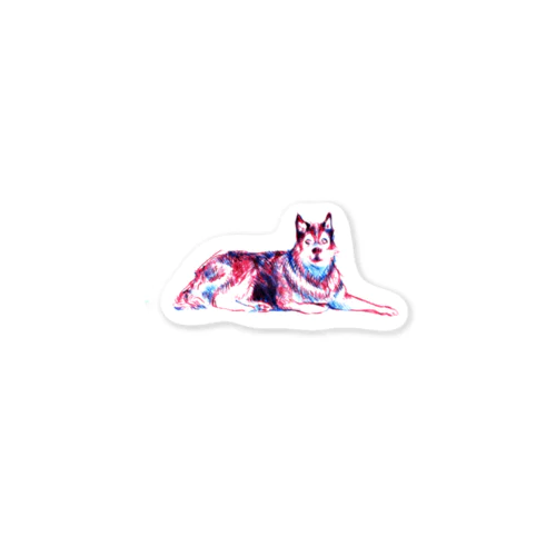 HUSKY  Sticker