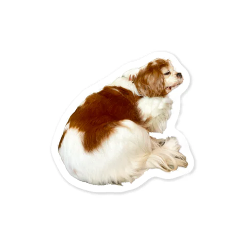 おしりデカ犬 Sticker