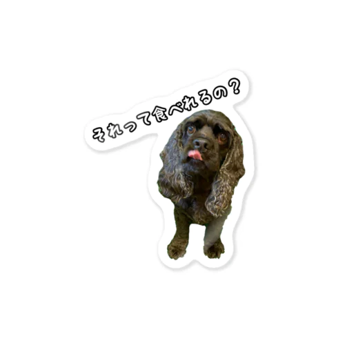 それって食べれるの？(アメリカンコッカースパニエル) Sticker