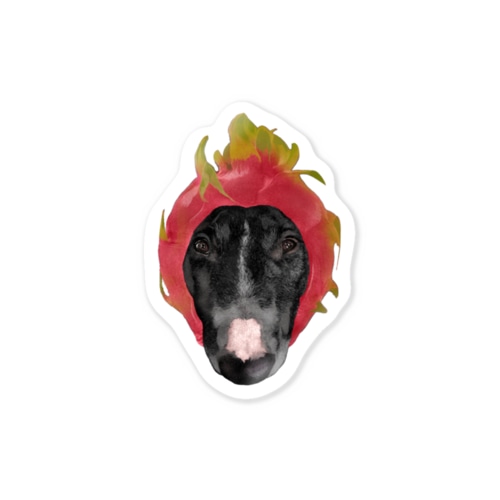 ７６．ドラモグンフルーツ Sticker