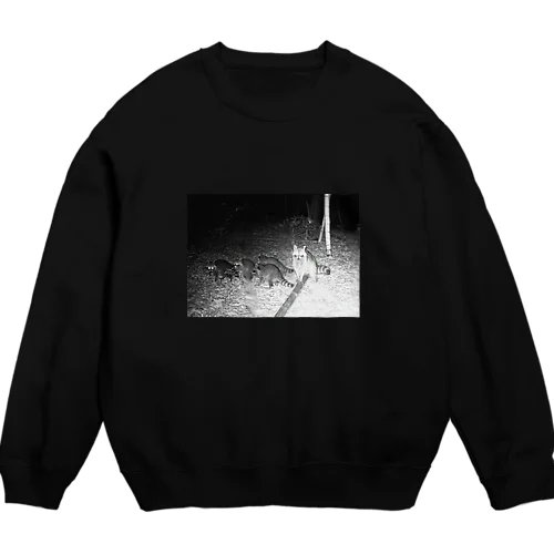 トレイルカメラに写ったアライグマ Crew Neck Sweatshirt