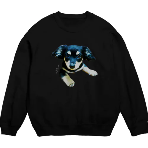 my name is molt Crew Neck Sweatshirt