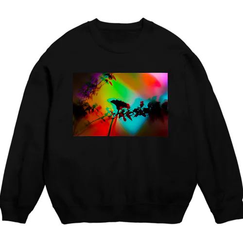 INNER CHAOS Crew Neck Sweatshirt