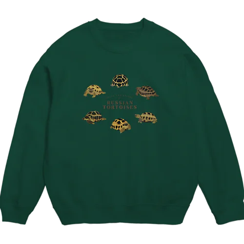 ロシアリクガメのカラーバリエーション Crew Neck Sweatshirt