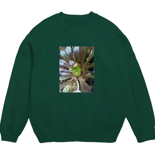 多肉植物の黒法師 Crew Neck Sweatshirt