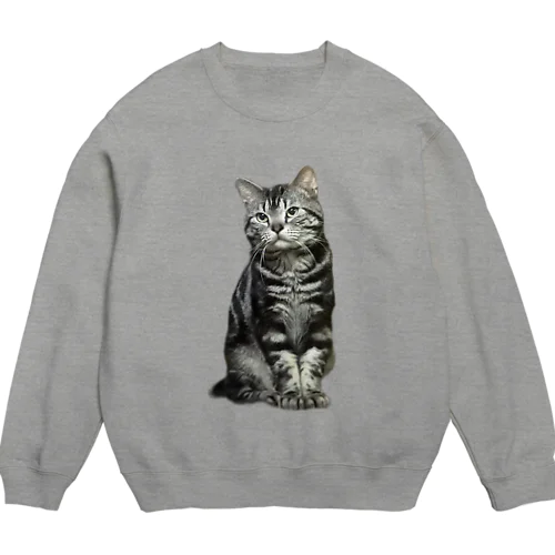 たまたま撮れた良い写真の猫 Crew Neck Sweatshirt