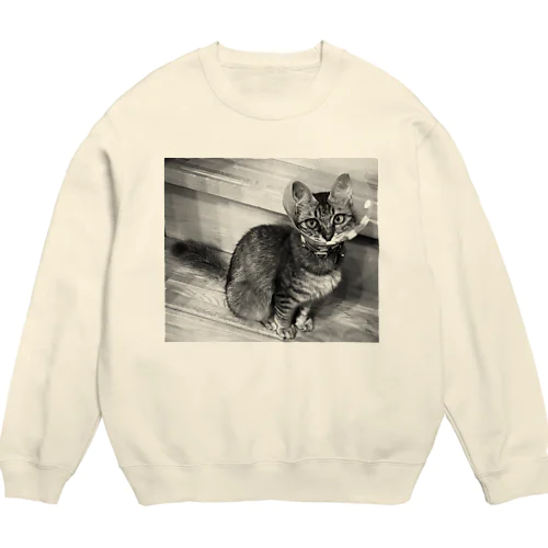 カラーを外して欲しい猫 Crew Neck Sweatshirt