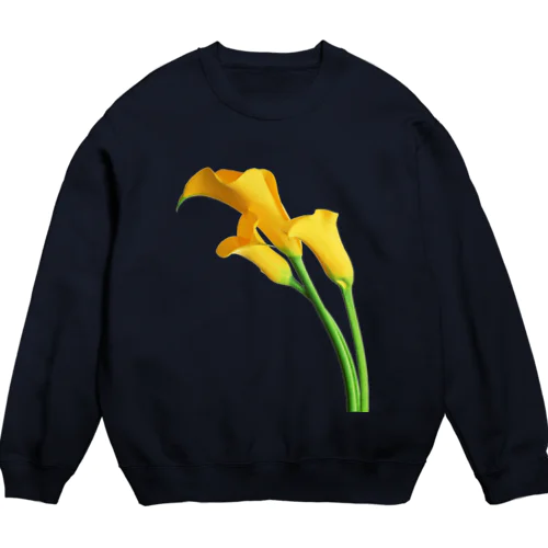 Yellow color Crew Neck Sweatshirt