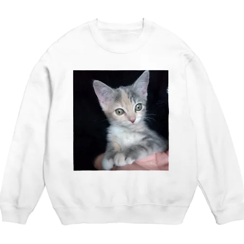 alice01 Crew Neck Sweatshirt