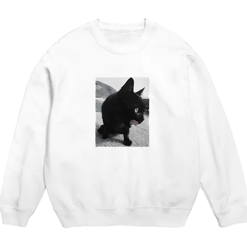 HF 波止場の猫ちゃん フォトプリント Crew Neck Sweatshirt