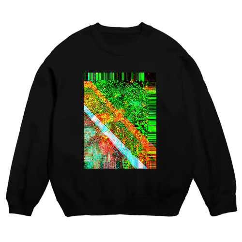 2022.10.30 Crew Neck Sweatshirt