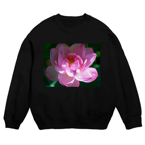 癒しの風景（ハス） Crew Neck Sweatshirt