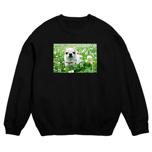 カラフルチワワ（クローバー） Crew Neck Sweatshirt