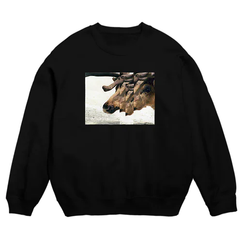 Milagro 〈 TONAKAI 〉 Crew Neck Sweatshirt