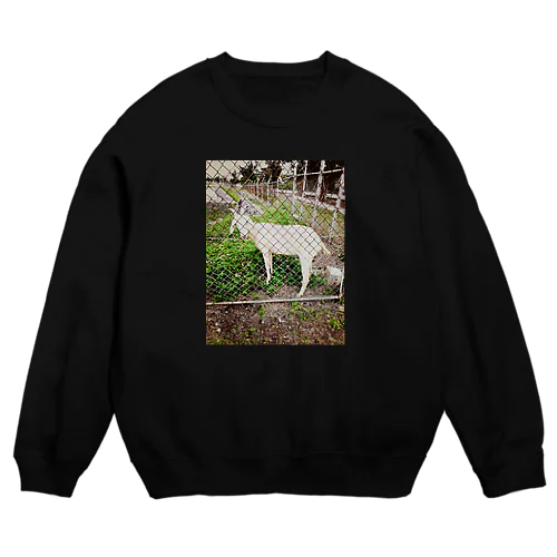 ヤギが見てくる Crew Neck Sweatshirt