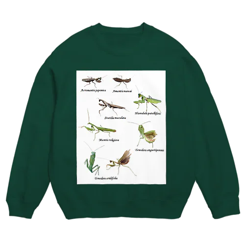 関東のカマキリ（旧学名・非推奨）（背景白色ver） Crew Neck Sweatshirt