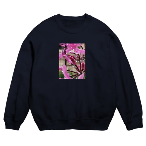 Rain Crew Neck Sweatshirt