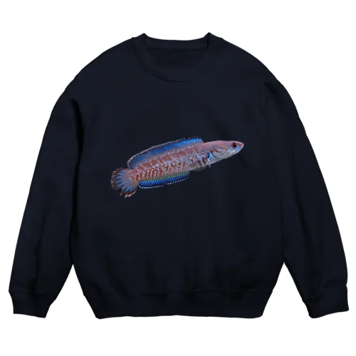 スネークヘッド Crew Neck Sweatshirt