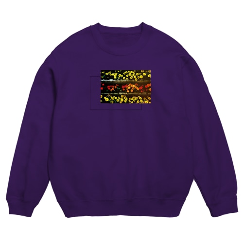 curiosity　× flower Crew Neck Sweatshirt