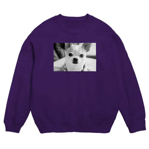 モノクロチワワ（おすまし） Crew Neck Sweatshirt