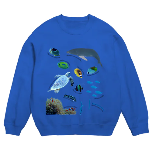 沖縄の海の生き物 Crew Neck Sweatshirt