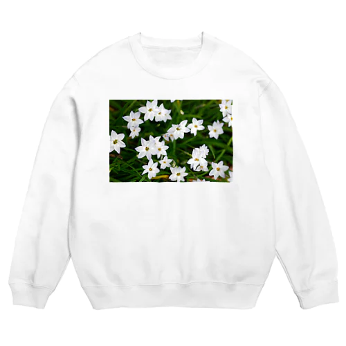 ハナニラの花 Crew Neck Sweatshirt