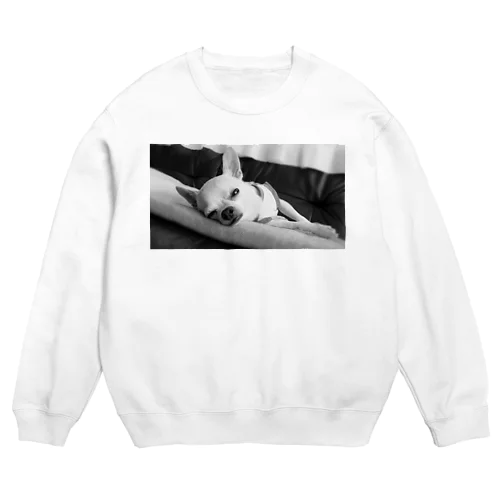 モノクロチワワ（アンニュイ2） Crew Neck Sweatshirt