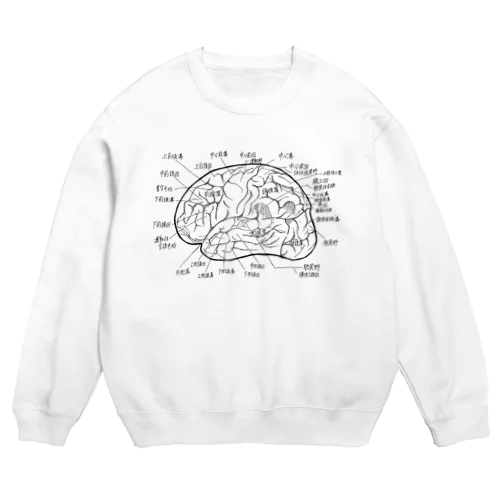 脳の構造 Crew Neck Sweatshirt