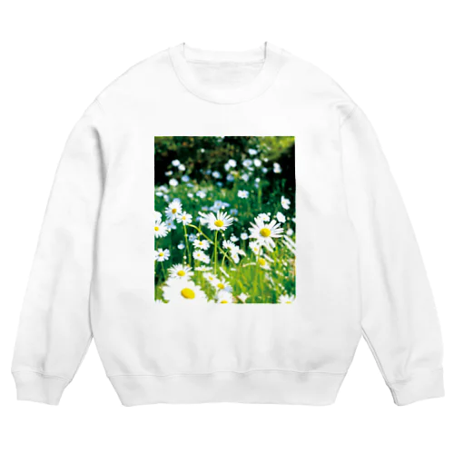 癒しの風景（シャスタデイジー） Crew Neck Sweatshirt