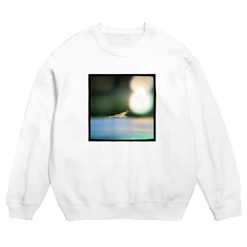 ミナミヌマエビ Crew Neck Sweatshirt