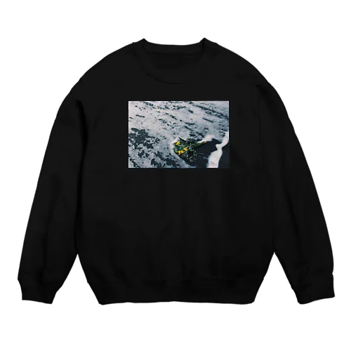 vision Crew Neck Sweatshirt