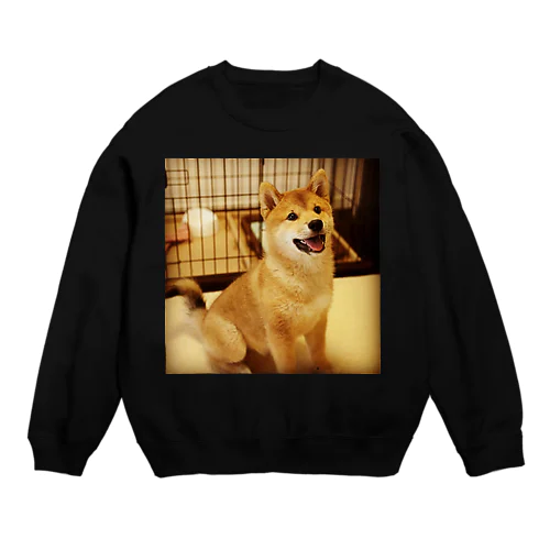 犬だよ〜 Crew Neck Sweatshirt