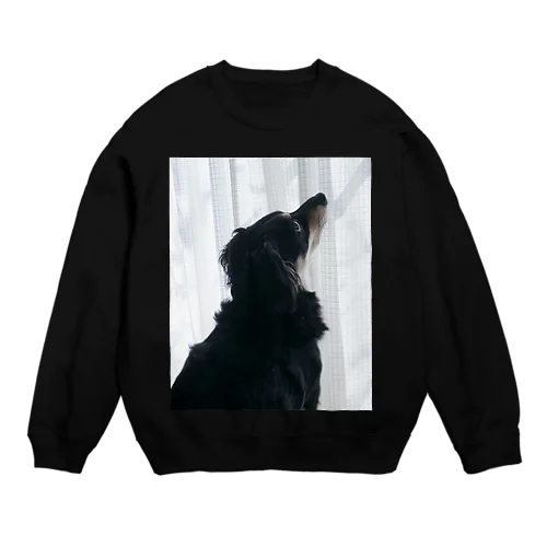 モル Crew Neck Sweatshirt