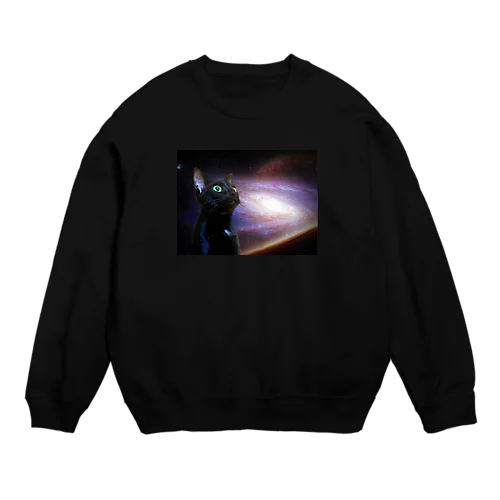 space cat Crew Neck Sweatshirt
