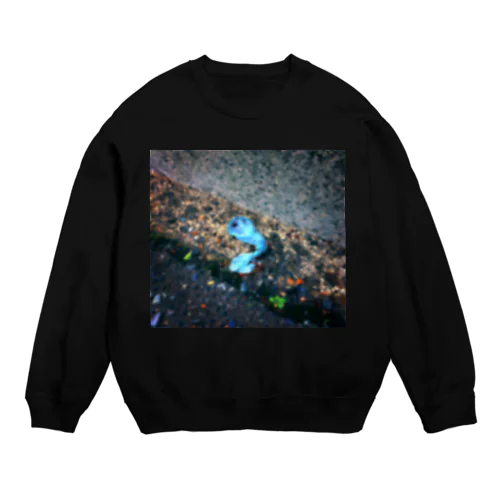 FUTURE Crew Neck Sweatshirt