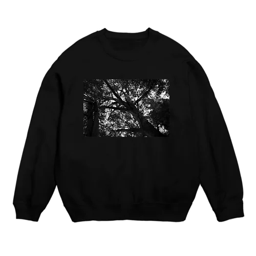 グラフィック02 Crew Neck Sweatshirt