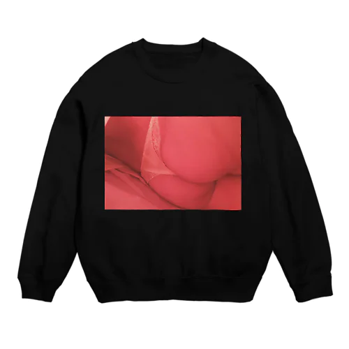 えっちでもいいじゃん？ Crew Neck Sweatshirt