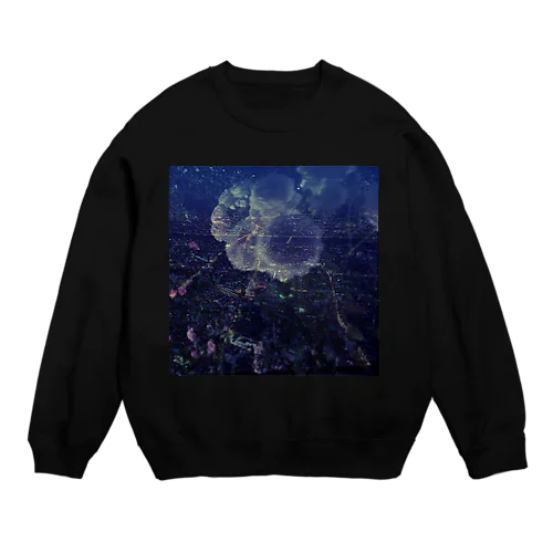 蛍 Crew Neck Sweatshirt