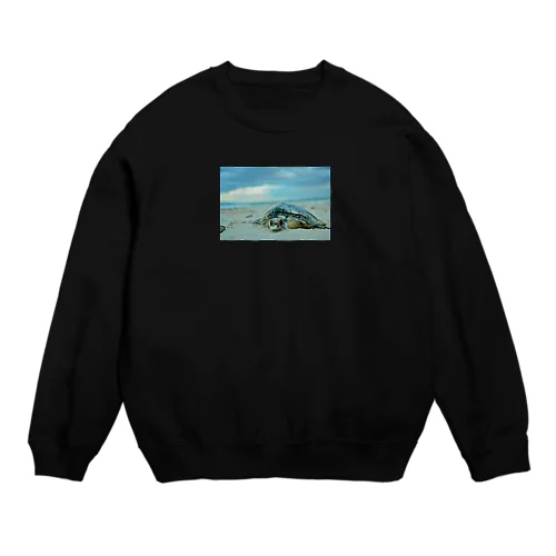 死んだうみがめ2 Crew Neck Sweatshirt