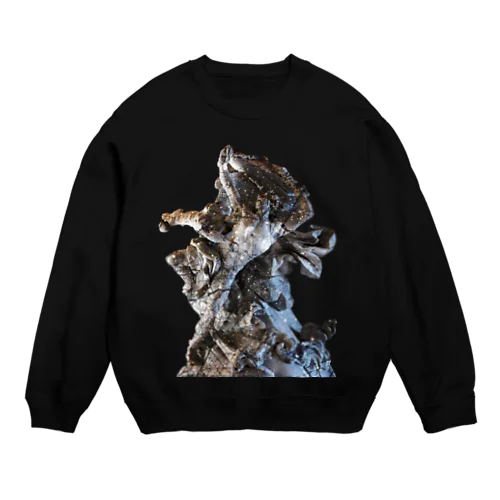 プロメテウス Crew Neck Sweatshirt