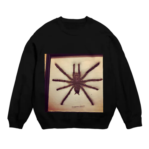 クロイスパイダーマン Crew Neck Sweatshirt