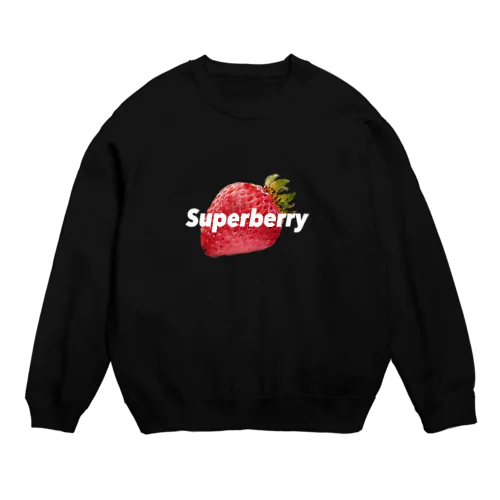 Logo Sweat Crew Neck Sweatshirt